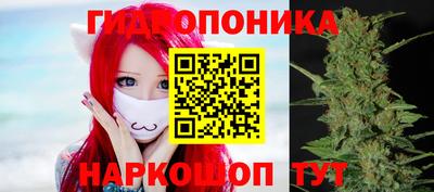 гидропоника Будённовск
