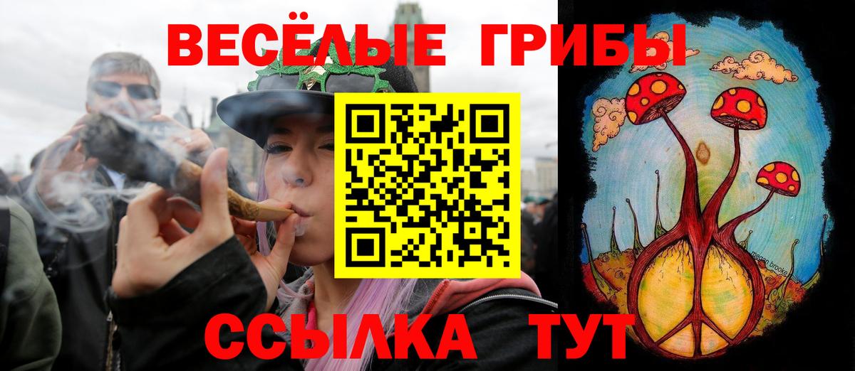 Галлюциногенные грибы ЛСД Краснокаменск