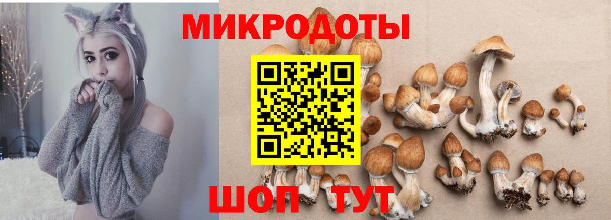 Галлюциногенные грибы Psilocybe  Галлюциногенные грибы мухоморы  Вход с VPN  Краснокаменск 